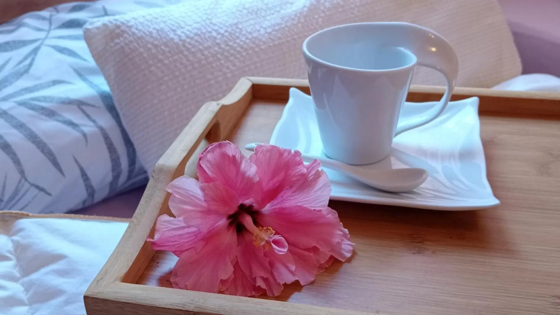 Marbella Beach, Apartamento Para 2 En Alvarito Playa Apartment
